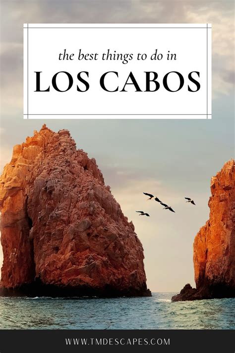 The Best 8 Things To Do In Los Cabos Mexico Tmd Escapes Things To