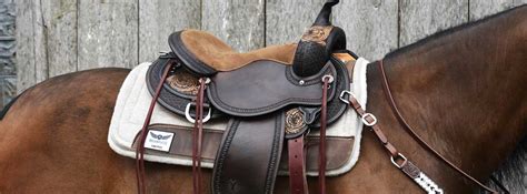 Saddle Fit Tips For Your Western Saddle Qanda With Circle Y