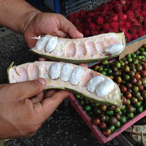The Delicious Fresh Fruit You Can Find In Costa Rica