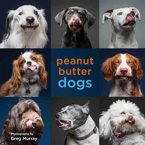 Peanut Butter Dogs Cleveland Photographer Greg Murrays New Book Is