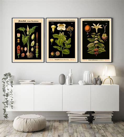 Rare Botanical Posters Set Of 3 Black Botanical Prints Botanical