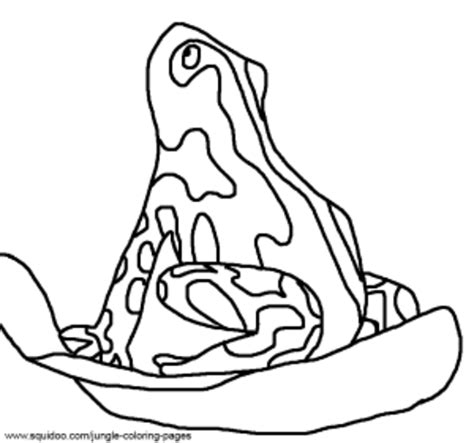 Realistic frog sketches and drawings to color. Jungle Coloring Pages