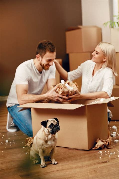 Couple With Dog And Boxes Moving In New Apartment Stock Image Image
