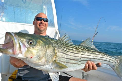 Reel Deal Fishing Charters (Truro) - All You Need to Know BEFORE You Go