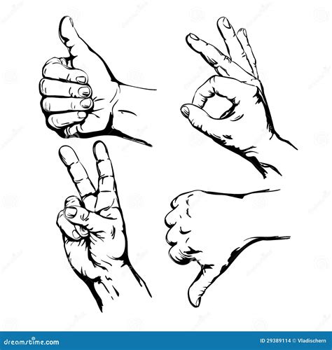 Insieme Delle Mani Di Simbolo Illustrazione Di Vettore Illustrazione Vettoriale Illustrazione