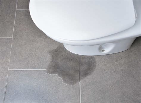 Toilet Leaks When Flushed Rate My Toilet