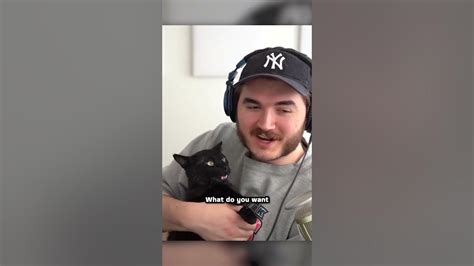 Schlatts New Cat Is Unhinged Youtube