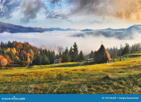 Foggy Morning In The Carpathian Mountains Stock Image Image Of