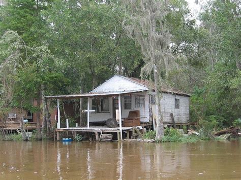 Cajun Swamp House Bayou House Louisiana Swamp Swamp