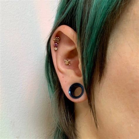 Pin By Gxth G Rl On Jewelry Gauges Piercing Ear Small Ear Gauges