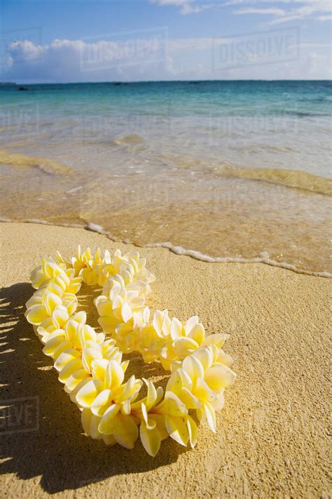 Hawaii Oahu Lanikai Beach Turquoise Ocean With Yellow Plumeria Lei Laying On The Sand