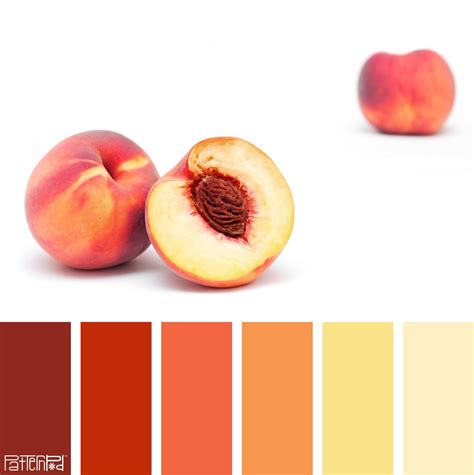 Peach Color Schemes Good Colors For Rooms