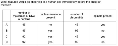 Chromosome Behaviour In Mitosis Cie A Level Biology Multiple Choice