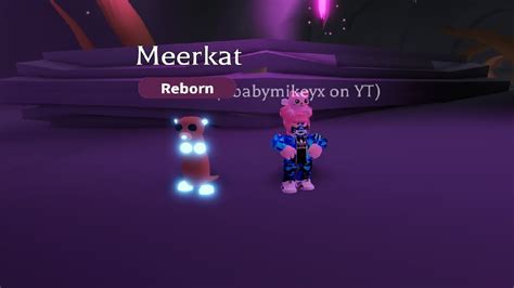 Roblox Adopt Me Neon Series Neon Meerkat Youtube