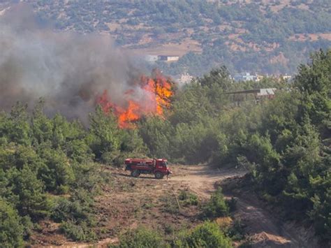 Orman Yangınları İle İlgili Tutuklama Kararı