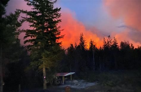 Evacuation Order Issued For Part Of Seymour Arm Near Hunakwa Wildfire