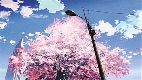 Sakura Trees Anime Aesthetic Pink Sakura Tree Anime Aesthetic