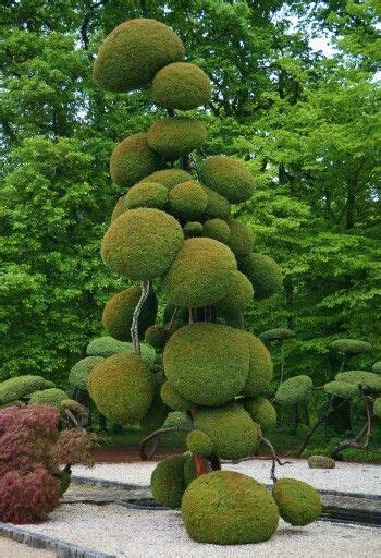 Topiary Gardens Landscape Outdoor Spaces Pinterest Topiary