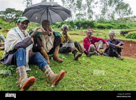 A Group Of Wetland Farmers In Illubabor Ethiopia Discuss The Impacts