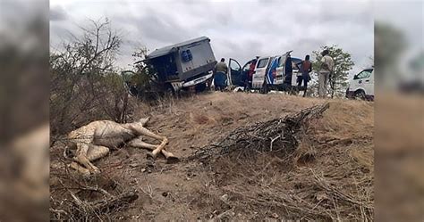 We would like to show you a description here but the site won't allow us. Muere doctor aplastado por jirafa tras accidente en Safari ...