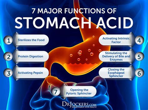 10 Ways To Improve Stomach Acid Levels 2022