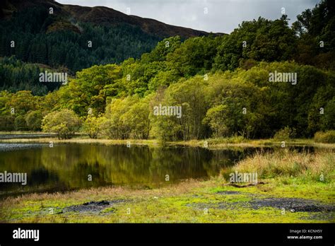 Early Autumn Colours On Loch Ard Stock Photo Alamy