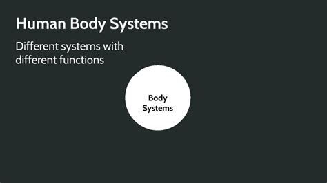 Human Body Systems Interaction By Jesus Mesta Escamilla On Prezi