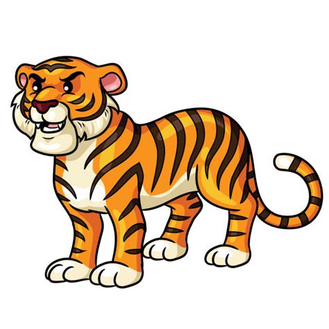 Best Tiger Running Illustrations Royalty Free Vector Graphics And Clip