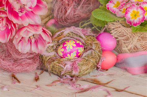 Easter Background With Eggs In Nest And Pink Tulips Stock Photo