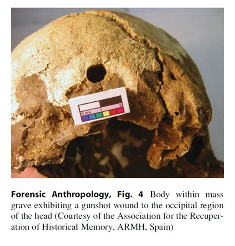 Forensic Anthropology Research Paper ⋆ Research Paper Examples ⋆