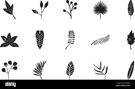 Icon Set Of Tropical Leaves And Palm Leaves Over White Background