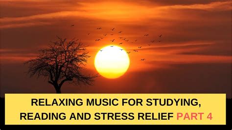 Relaxing Music For Studying Reading And Stress Relief Part 4 Youtube