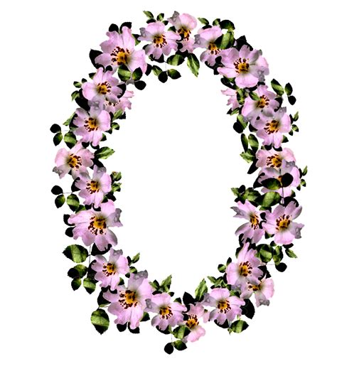 Gambar Bingkai Bunga Format Png Gambar Bunga