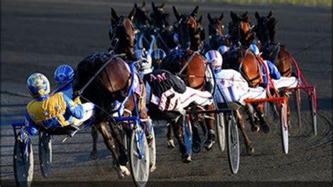 Mohawk Racetrack Standardbred Canada