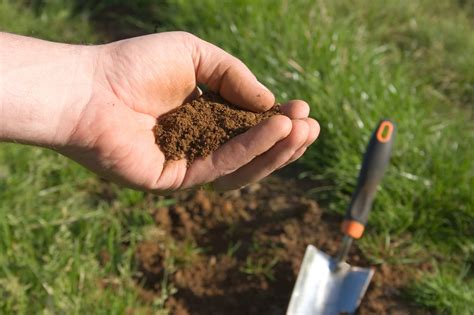 How To Take A Soil Sample Cfc Farm And Home