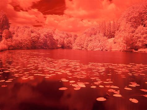 How To Do Infrared Photography With Basic Camera Gear