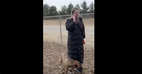 Commission Viral Dog Humping 911 Call Was Maybe Racist