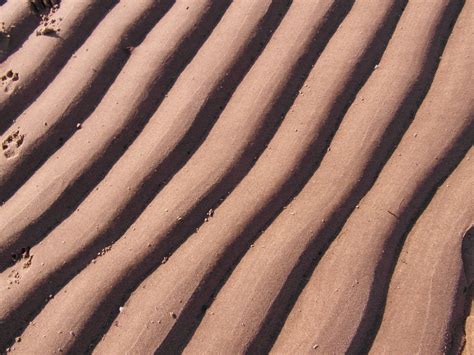 Free Images Sand Structure Wood Texture Wave Floor Line Spring
