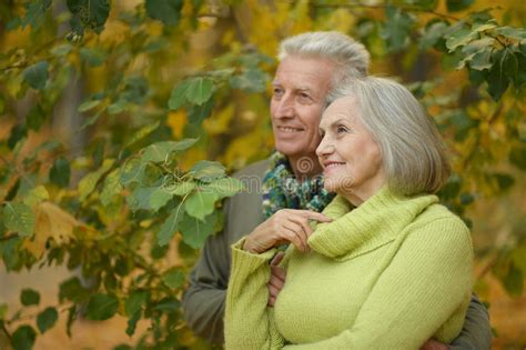 Old Couple At Autumn Park Stock Image Image Of Glad 47745855