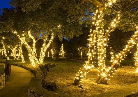 How To Light Outdoor Trees Outdoor Lighting Ideas