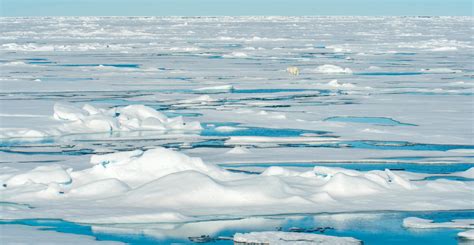 Arctic Sea Ice Shrinks To Second Lowest Summer Minimum On Record