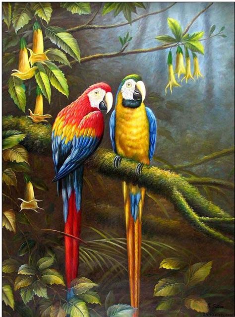 Famous Bird Artist Animal Oil Painting Jungle Parrots Paintings