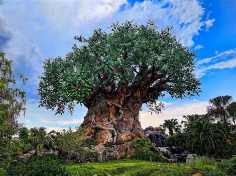 Primera vez en Disney: TODO lo que tenes que saber