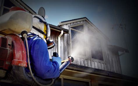 Those diy pest control products find it difficult to get rid of the root of the problem even though they handle the situation temporarily. Pest Control Certification Test: Learn 7 Secrets About It