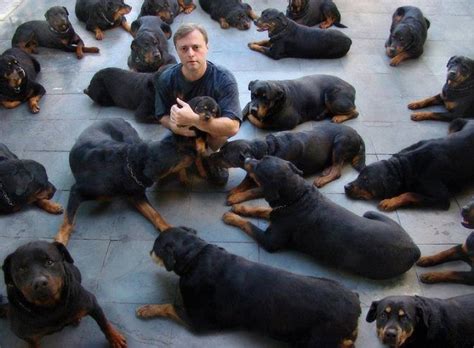 14 Signs You Are A Crazy Rottweiler Person Rottweiler