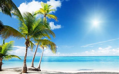 Hd Wallpaper Tropical Beach Paradise Sunshine Summer Scenery Hd