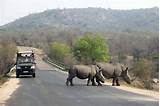 Images Kruger National Park
