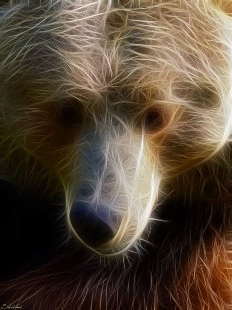 Fractal Bear By Stefano Landenna 500px