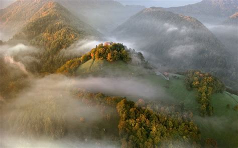 Fog In Autumn Mountain Forest