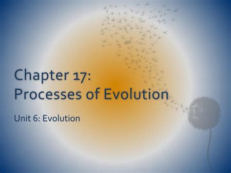 Ppt Chapter 17 Processes Of Evolution Powerpoint Presentation Free